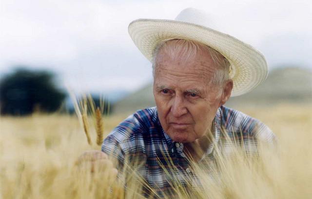 Grupo Borau | Norman Borlaug, padre de la agricultura moderna y la  “revolución verde”