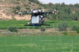 Dron tratamiento fitosanitario