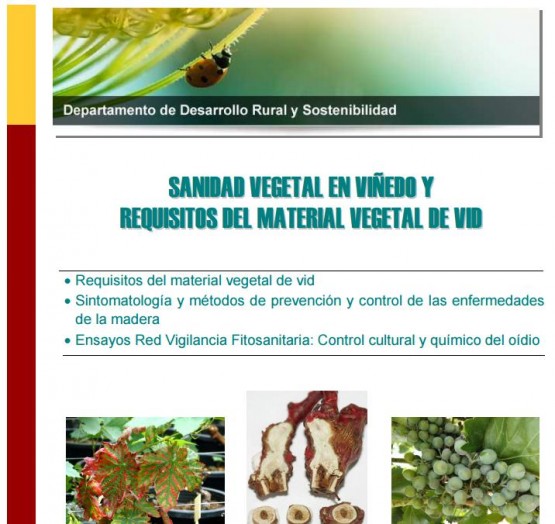 Cartel curso en "Sanidad vegetal en viñedo"